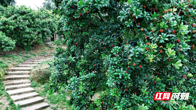 微信图片_20260615113735_839_364.jpg 微信图片_20260615113735_839_364.jpg