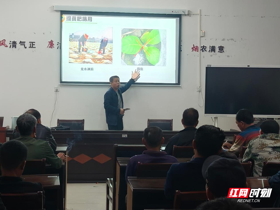 图片4.png 图片4.png