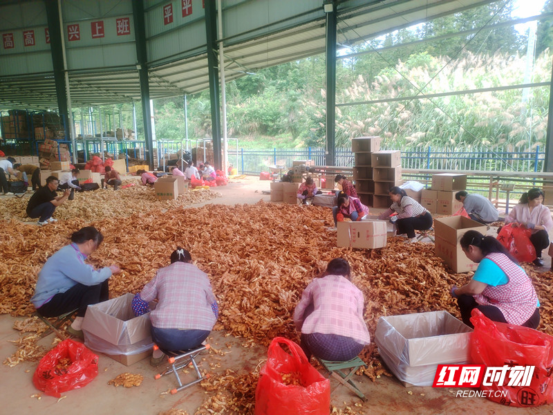 微信图片_20260615185250_副本_副本.jpg 微信图片_20260615185250_副本_副本.jpg