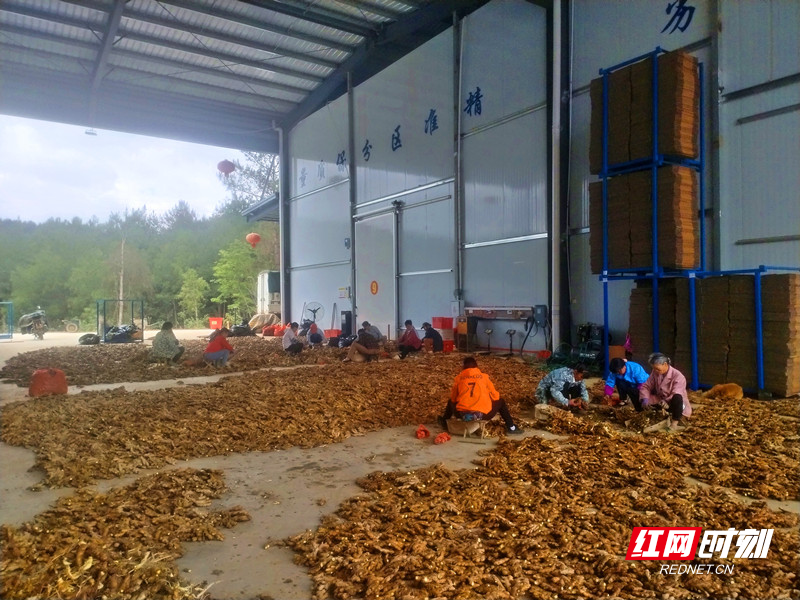 微信图片_20260615185305_副本_副本.jpg 微信图片_20260615185305_副本_副本.jpg