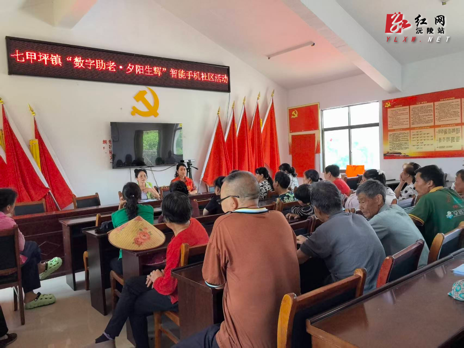 图片13.png 图片13.png