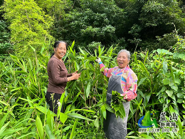 从“办事点”到“幸福家”:蓝山县浆洞瑶族乡上洞村党群服务中心的“蝶变密码”3.jpg 从“办事点”到“幸福家”:蓝山县浆洞瑶族乡上洞村党群服务中心的“蝶变密码”3.jpg