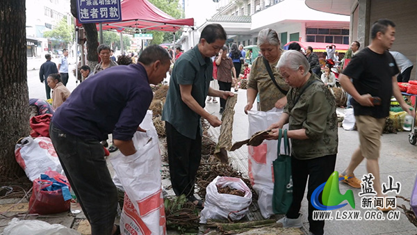 我县百草飘香迎端午 药市购销人气旺.jpg