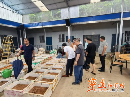 宁远:聚焦基层减负增效 以数字赋能助力乡村振兴2_副本500.jpg 宁远:聚焦基层减负增效 以数字赋能助力乡村振兴2_副本500.jpg
