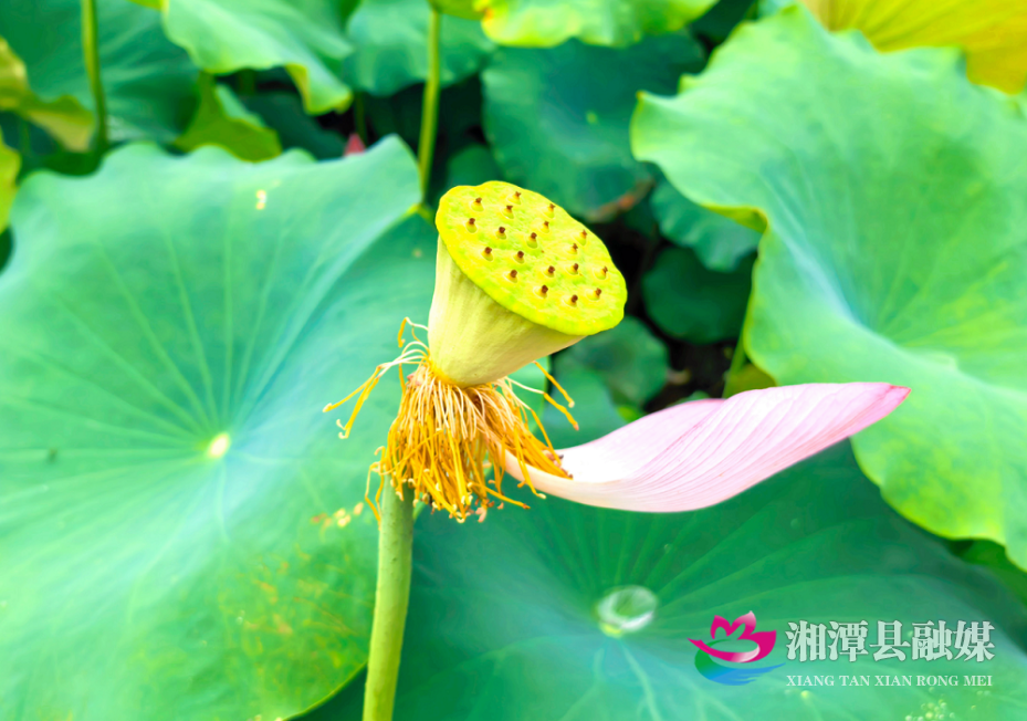 图片4.png 图片4.png