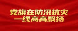 党旗在防汛抗灾一线高高飘扬