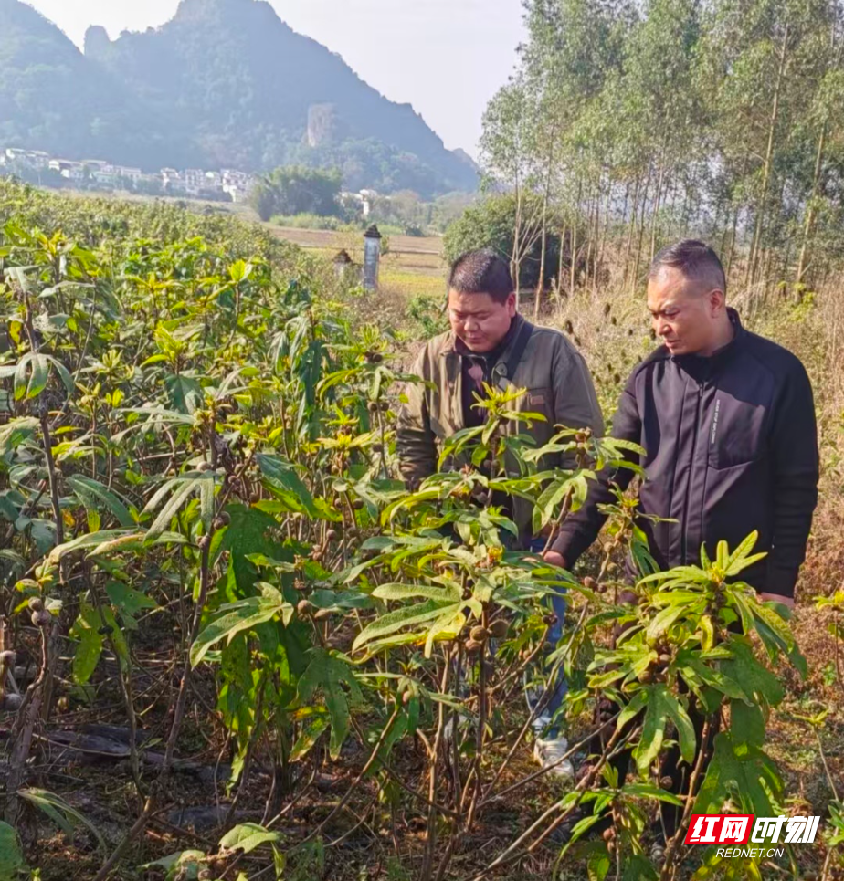 冬赴汉寿：研学借鉴拓前路.jpg