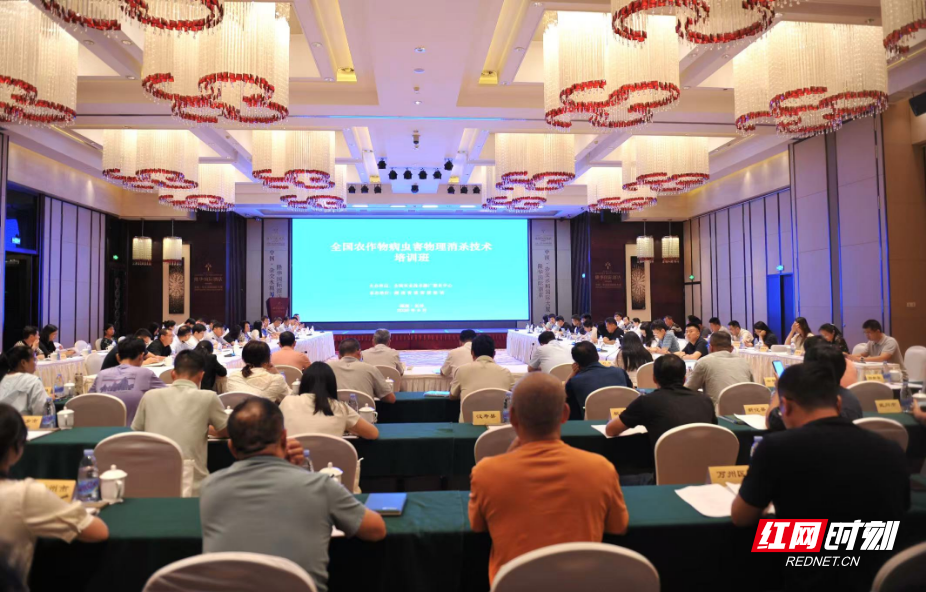 cef800c11ff2d78977a4130ff86296c2.jpg