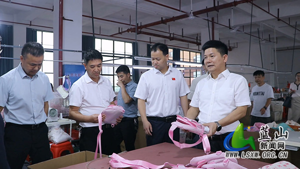 秦志军来蓝走访调研外资外贸企业ff.jpg