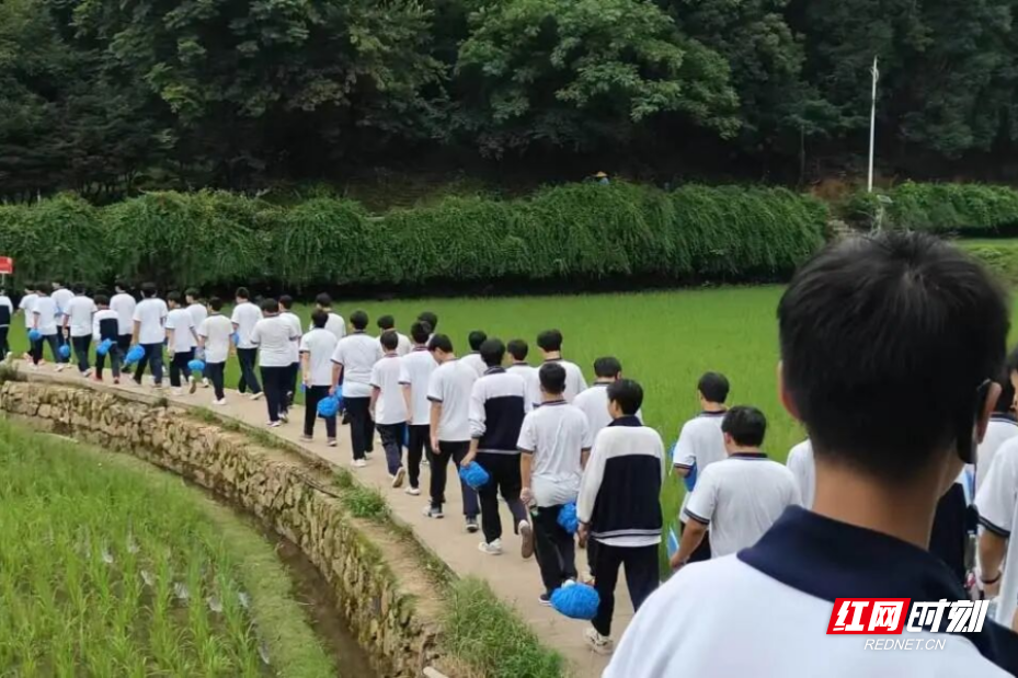 图片7.png