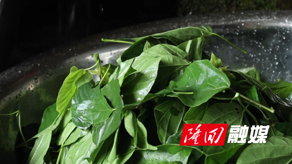 隆回：端午草木香 神仙豆腐传承民俗味1.jpg
