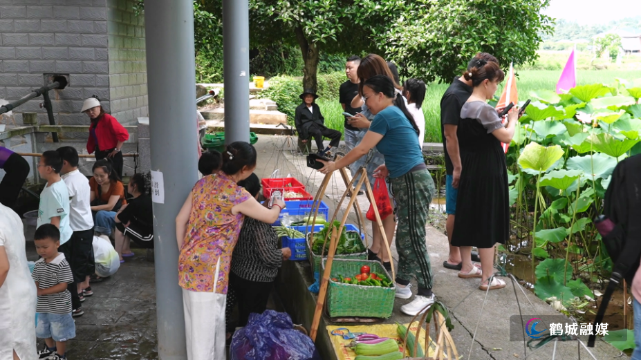 凤坪村：荷花竞相绽放&nbsp;新晋网红打卡地引爆夏日文旅.mp4_000106.747.png