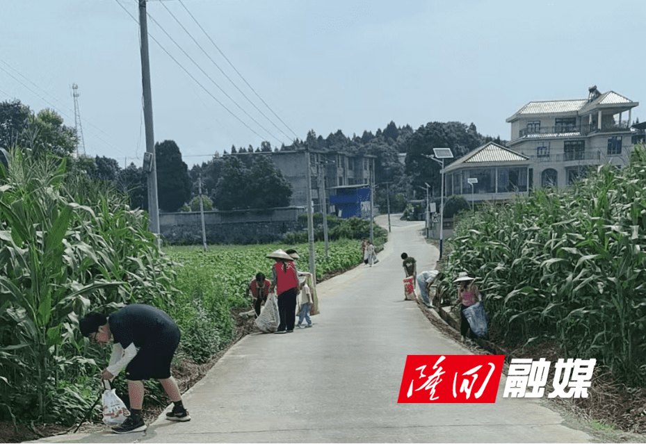 8ec8153580cf44fbafad890a2d190465_new.png