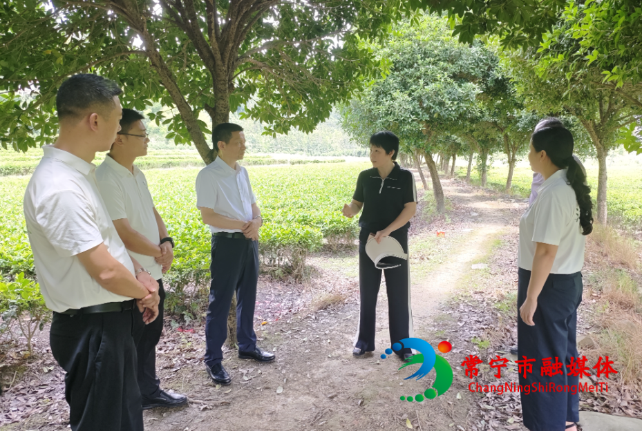 王一花赴洋泉镇调度省级农业产业强镇申报工作 (3)_看图王.jpg 王一花赴洋泉镇调度省级农业产业强镇申报工作 (3)_看图王.jpg