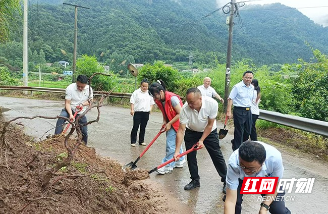 连日降雨引发道路边坡溜土、断枝占道等险情，楠木铺乡迅速组织党员干部、驻村工作队、志愿者等在楠木铺乡高坪村开展道路安全清障整治行动，抓实道路交通安全安全生产工作。.jpg