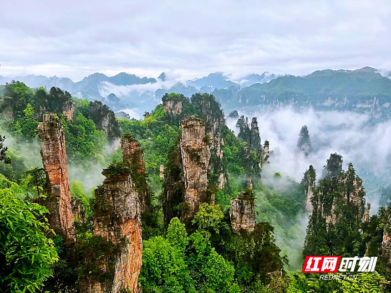 微信图片_20260705104409_88_4.jpg 微信图片_20260705104409_88_4.jpg