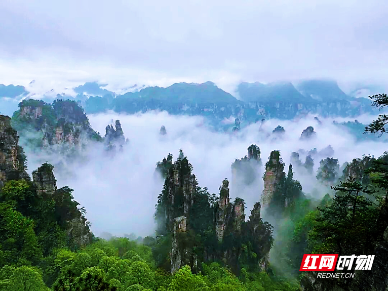 微信图片_20260705104413_90_4.jpg 微信图片_20260705104413_90_4.jpg