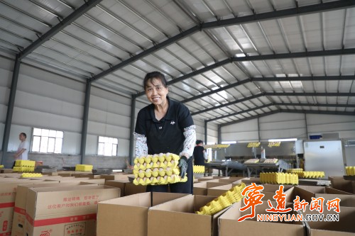 宁远:“95后”女孩返乡创业 智能化养鸡闯新路3_副本500.jpg 宁远:“95后”女孩返乡创业 智能化养鸡闯新路3_副本500.jpg