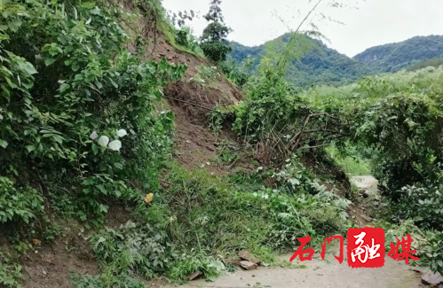 维新镇:滑坡阻路急清障 机械进场保畅通1.jpg 维新镇:滑坡阻路急清障 机械进场保畅通1.jpg