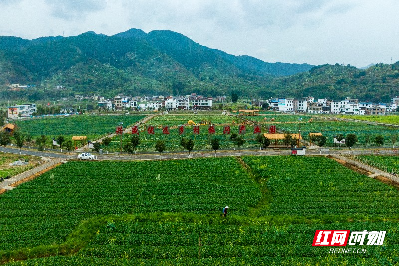 沙洲现代农旅示范基地项目3.jpg 沙洲现代农旅示范基地项目3.jpg