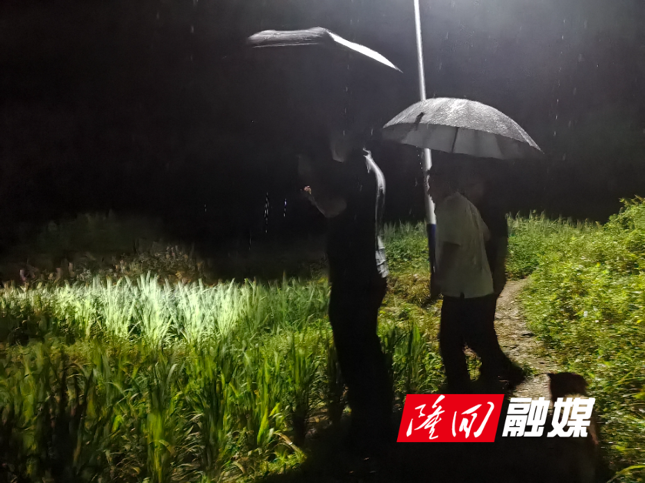 微信图片_20260708090605_197_70.jpg 微信图片_20260708090605_197_70.jpg