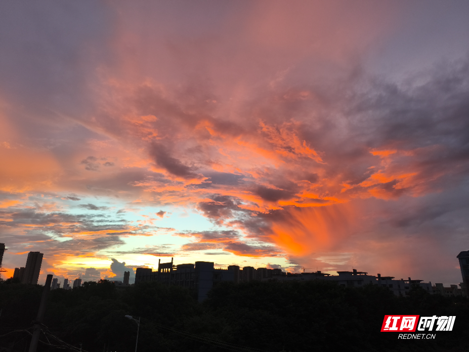 微信图片_20260708193117_2629_50.jpg
