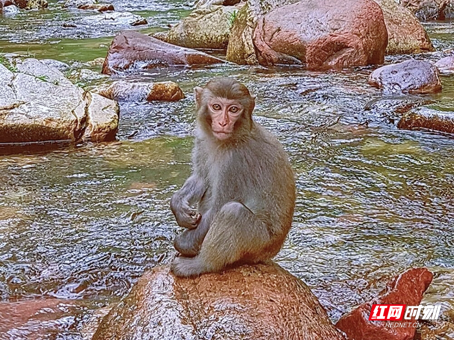 微信图片_20260712180252_148_4.jpg