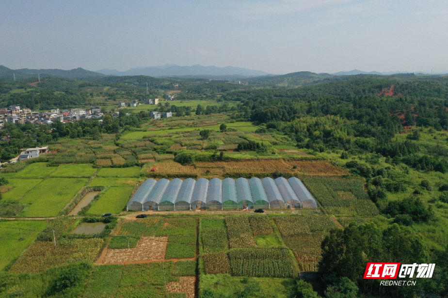 DJI_0569_副本.jpg