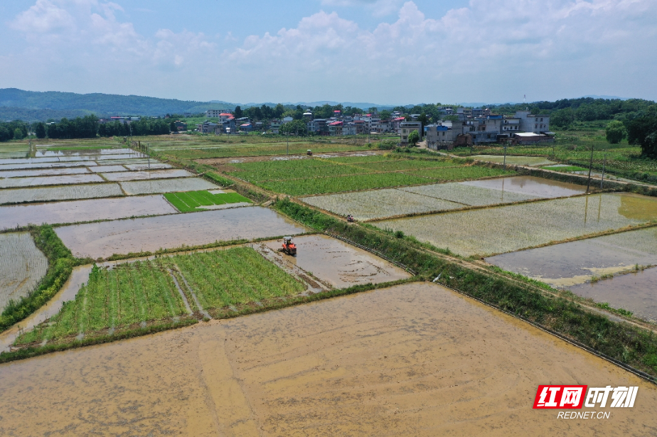 DJI_0606_副本.jpg