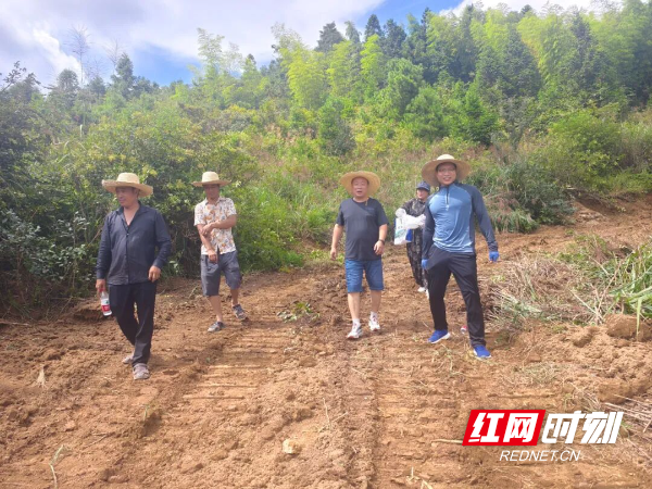 图片 图片