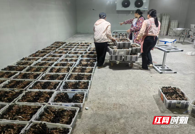 微信图片_2026-07-16_103206_113.png 微信图片_2026-07-16_103206_113.png