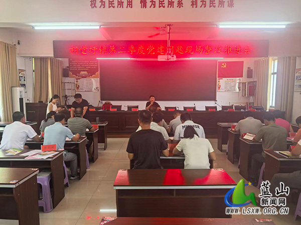 祠堂圩镇：现场督导促整改 筑牢基层党建根基.jpg