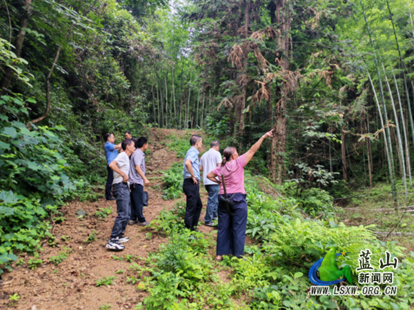 浆洞瑶族乡:口头调解无果 实地勘察化纠纷.jpg 浆洞瑶族乡:口头调解无果 实地勘察化纠纷.jpg