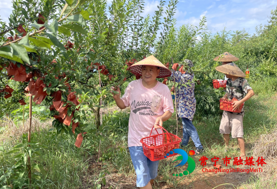 微信图片_20260718120058_2999_4_看图王.jpg 微信图片_20260718120058_2999_4_看图王.jpg
