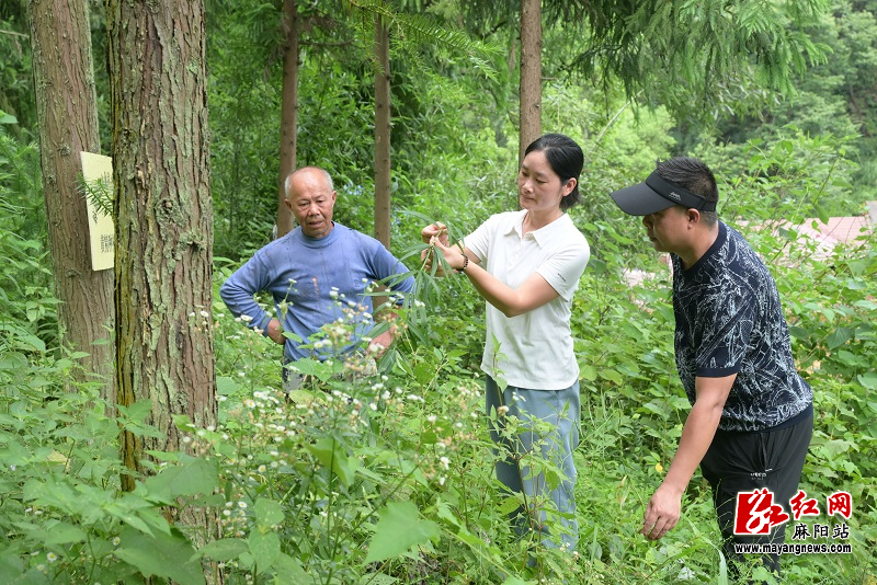 微信图片_20260720103520.jpg 微信图片_20260720103520.jpg
