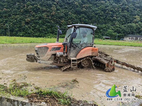 祠堂圩镇虎溪村:引水整地备插秧 田园铺就丰收新希望.jpg 祠堂圩镇虎溪村:引水整地备插秧 田园铺就丰收新希望.jpg