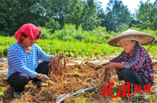 微信截图_20260721092908.jpg 微信截图_20260721092908.jpg