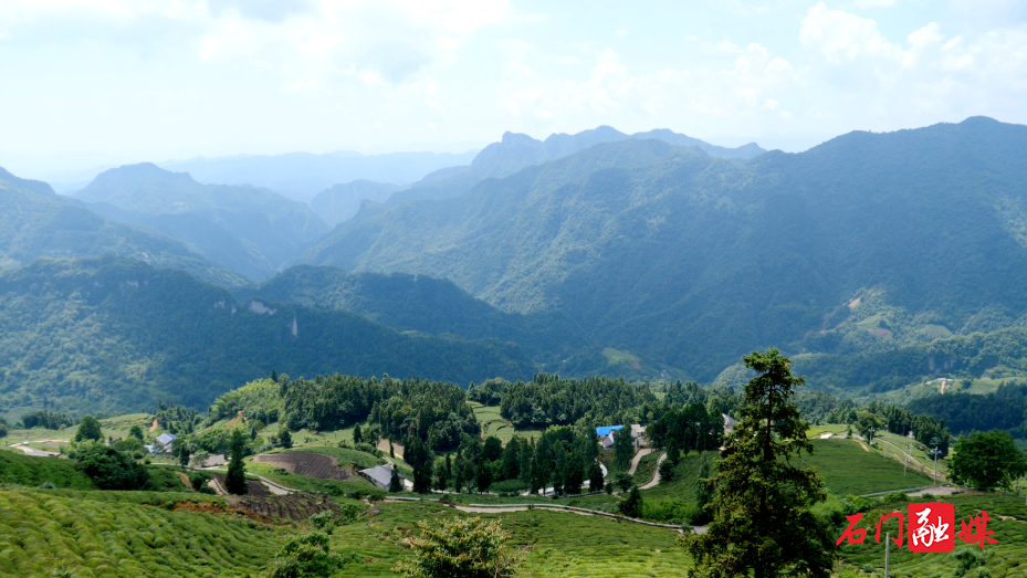25℃山居清爽一夏 石门高山民宿迎避暑旺季1.png 25℃山居清爽一夏 石门高山民宿迎避暑旺季1.png