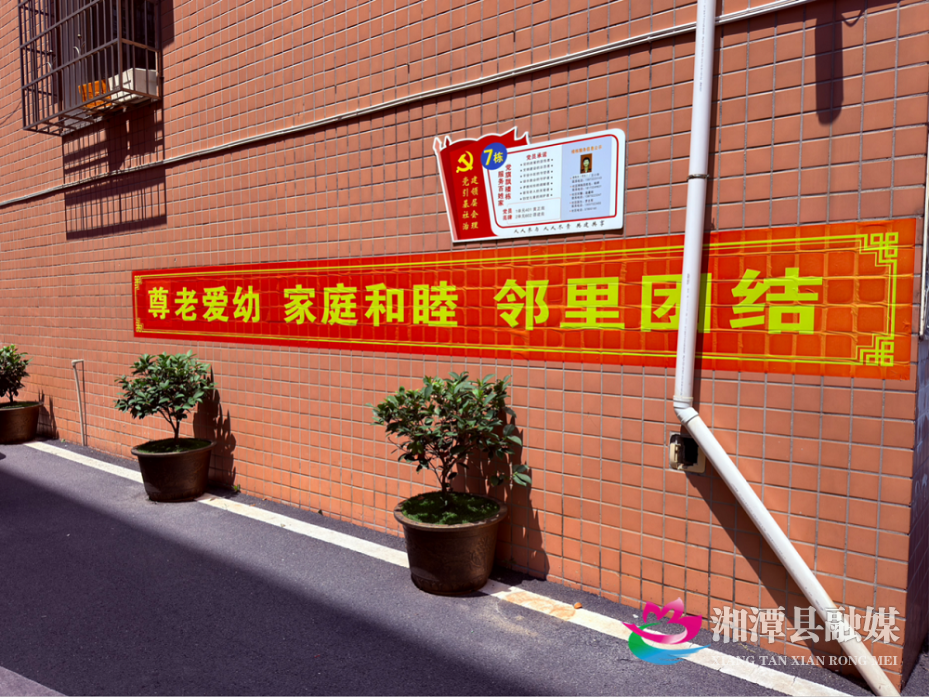 图片3.png 图片3.png