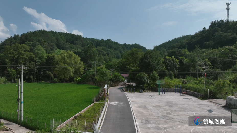 陈锋:扎根乡土践初心 实干兴村促振兴.mp4_000121.981.png 陈锋:扎根乡土践初心 实干兴村促振兴.mp4_000121.981.png