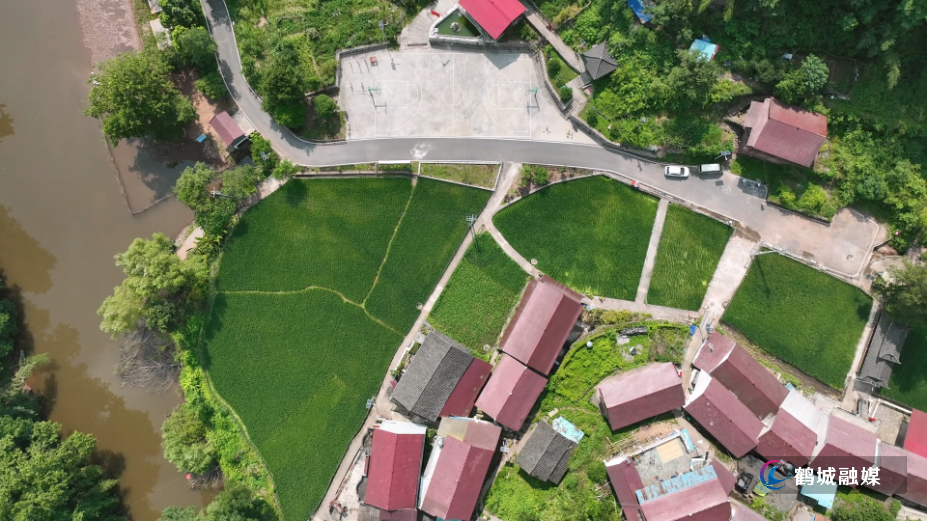 陈锋:扎根乡土践初心 实干兴村促振兴.mp4_000145.438.png 陈锋:扎根乡土践初心 实干兴村促振兴.mp4_000145.438.png