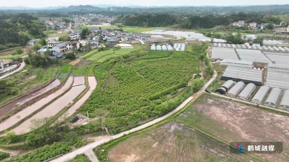 鹤城区:深耕“三农”沃土 绘就振兴(半成品)以此为准.mp4_000358.317.png 鹤城区:深耕“三农”沃土 绘就振兴(半成品)以此为准.mp4_000358.317.png
