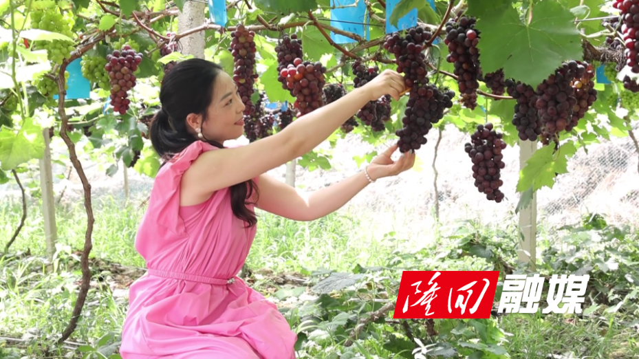 隆回：盛夏荷香引客来 农旅融合促振兴1.jpg
