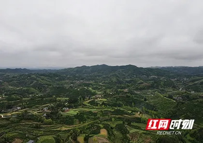红观五溪丨青山为证——怀化“身后事”改革的破局之路