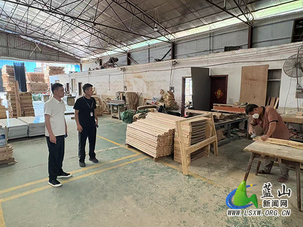 毛俊镇开展辖区企业安全生产专项检查.jpg