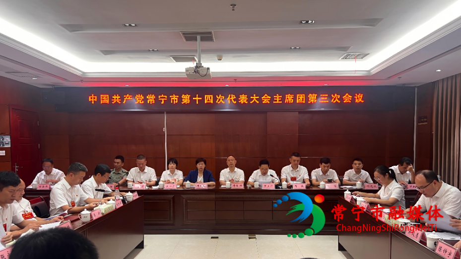 市第十四次党代会主席团举行第三次会议.jpg