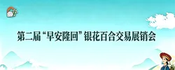 专题丨第二届“早安隆回”银花百合交易展销会