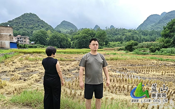 祠堂圩镇蓝屏村:党建引领抓农时 凝心聚力推进晚稻生产落地见效.jpg 祠堂圩镇蓝屏村:党建引领抓农时 凝心聚力推进晚稻生产落地见效.jpg