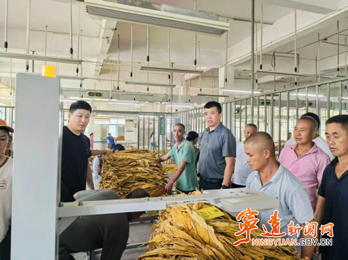 宁远县清水桥镇:烤烟收购工作全面启动_副本500.jpg 宁远县清水桥镇:烤烟收购工作全面启动_副本500.jpg