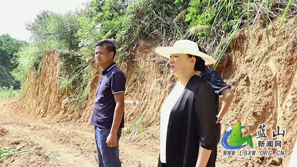 蓝山：邓群到土市镇调研粮食生产并开展联村解忧“四个一批”工作.jpg